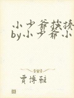 小少爷挨揍日常by小少爷小说txt