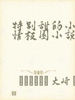 特别甜的小说言情校园小说