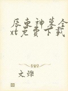 辰东神墓全本txt免费下载