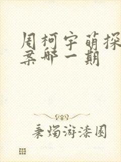 周柯宇萌探探探案哪一期