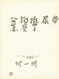 公狗撒尿带血是怎么了