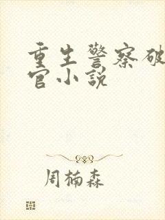 重生警察破案升官小说