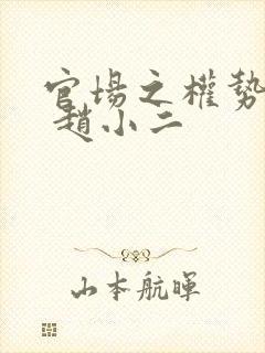 官场之权势滔天 赵小二