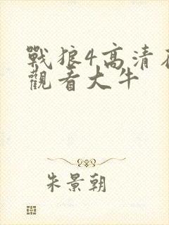 战狼4高清在线观看大牛