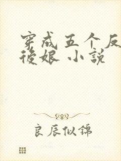 穿成五个反派的后娘 小说