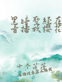 黑暗圣经在线观看播放樱花