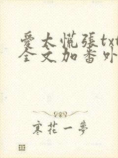爱太慌张txt全文加番外
