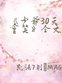《少爷30天后会笑》全文免费阅读txt