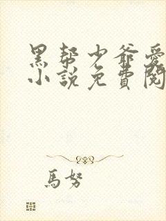 黑帮少爷爱上我小说免费阅读