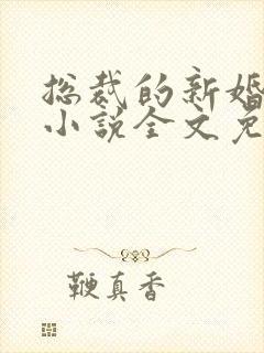 总裁的新婚罪婚小说全文免费阅读