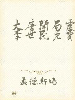 大唐开局震惊了李世民免费阅读