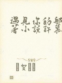 遇见你的那天原著小说许慕谢时