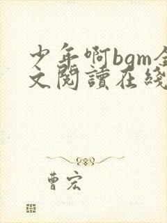 少年啊bgm全文阅读在线听书