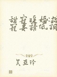 甜宠暖婚:总裁宠妻请低调