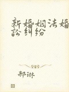 新婚姻法婚姻诉讼纠纷