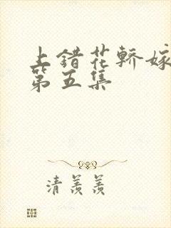 上错花轿嫁王爷第五集