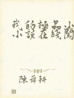 我的极品小姨 小说在线阅读