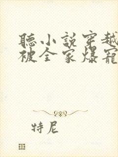 听小说穿越七零被全家爆宠