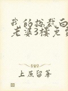 我的总裁白富美老婆3楼免费版