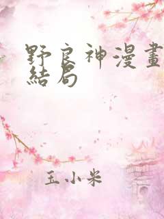 野良神漫画最后结局