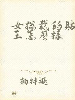 女总裁的贴身兵王怎么样