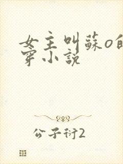 女主叫苏o的快穿小说