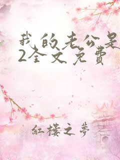 我的老公是冥王2全文免费