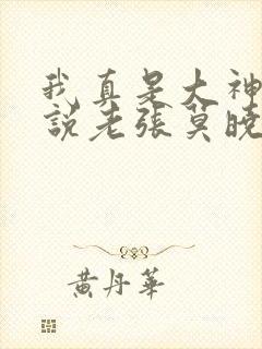 我真是大神医小说老张莫晓梅