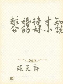 离婚后才知道老公的好小说