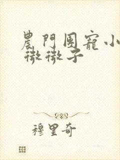 农门团宠小福女 微微子