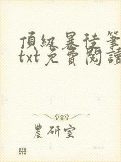 顶级暴徒笔趣阁txt免费阅读