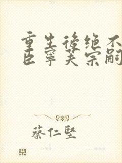 重生后绝不嫁权臣宁芙宗嗣