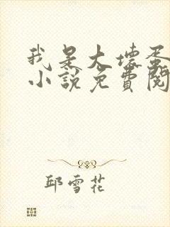 我是大坏蛋原著小说免费阅读