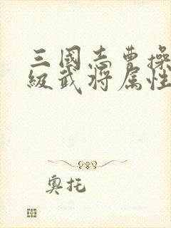 三国志曹操传满级武将属性