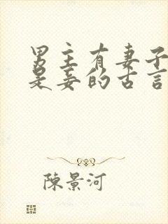 男主有妻子女主是妾的古言