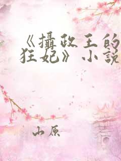 《摄政王的医品狂妃》小说