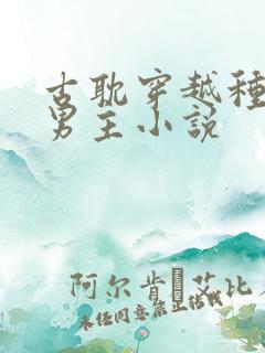 古耽穿越种田双男主小说