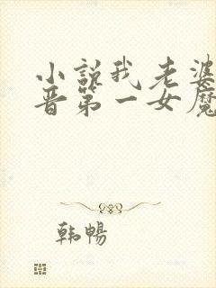 小说我老婆是东晋第一女魔头