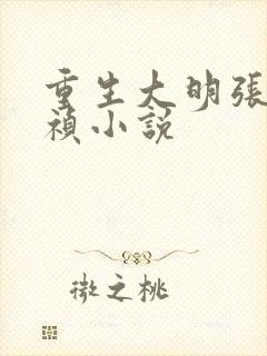 重生大明张凡崇祯小说