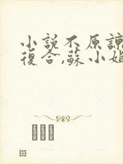 小说不原谅,不复合,苏小姐独美