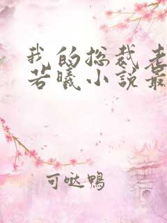 我的总裁老婆林若曦小说最新章节