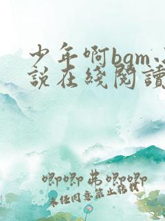 少年啊bgm小说在线阅读免费