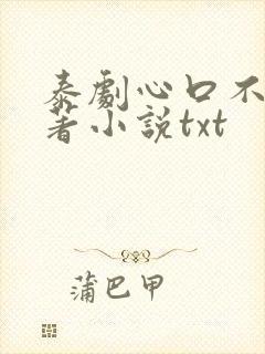 泰剧心口不一原著小说txt