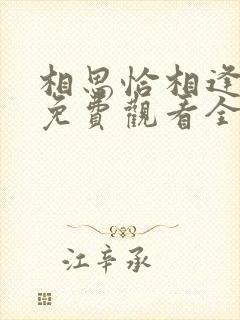 相思恰相逢短剧免费观看全集高清