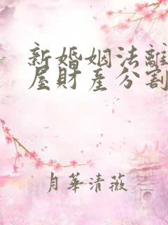 新婚姻法离婚房屋财产分割