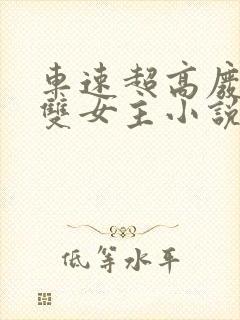 车速超高废文的双女主小说偏执