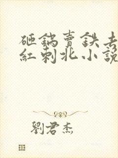 砸锅卖铁去上学红刺北小说无删减版