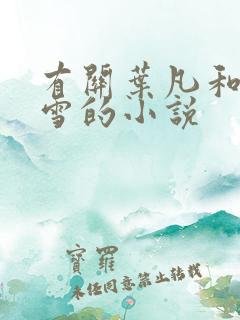 有关叶凡和唐若雪的小说