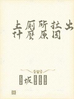 上厕所拉出血是什么原因