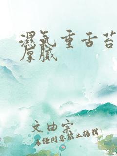 湿气重舌苔发黄厚腻